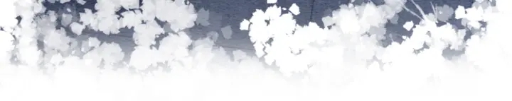 第208话 永远陪着你34