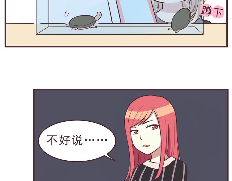 第36话 最喜欢你的生日礼物13
