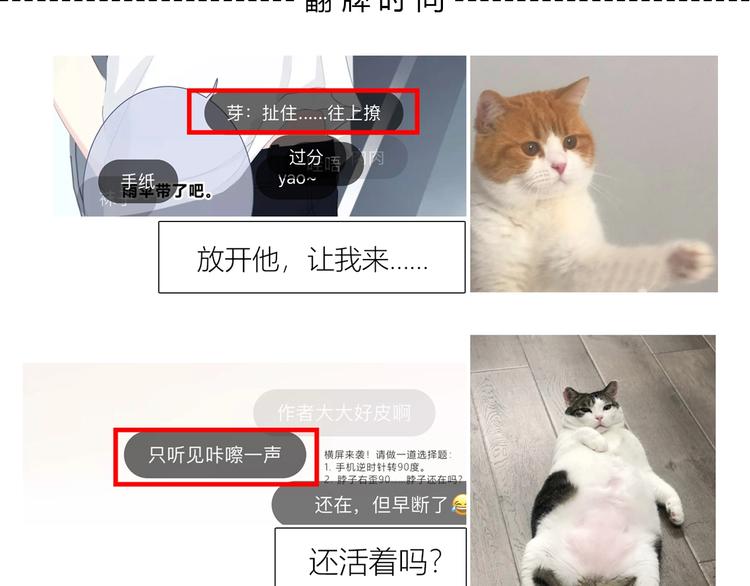 第203话 小心思103