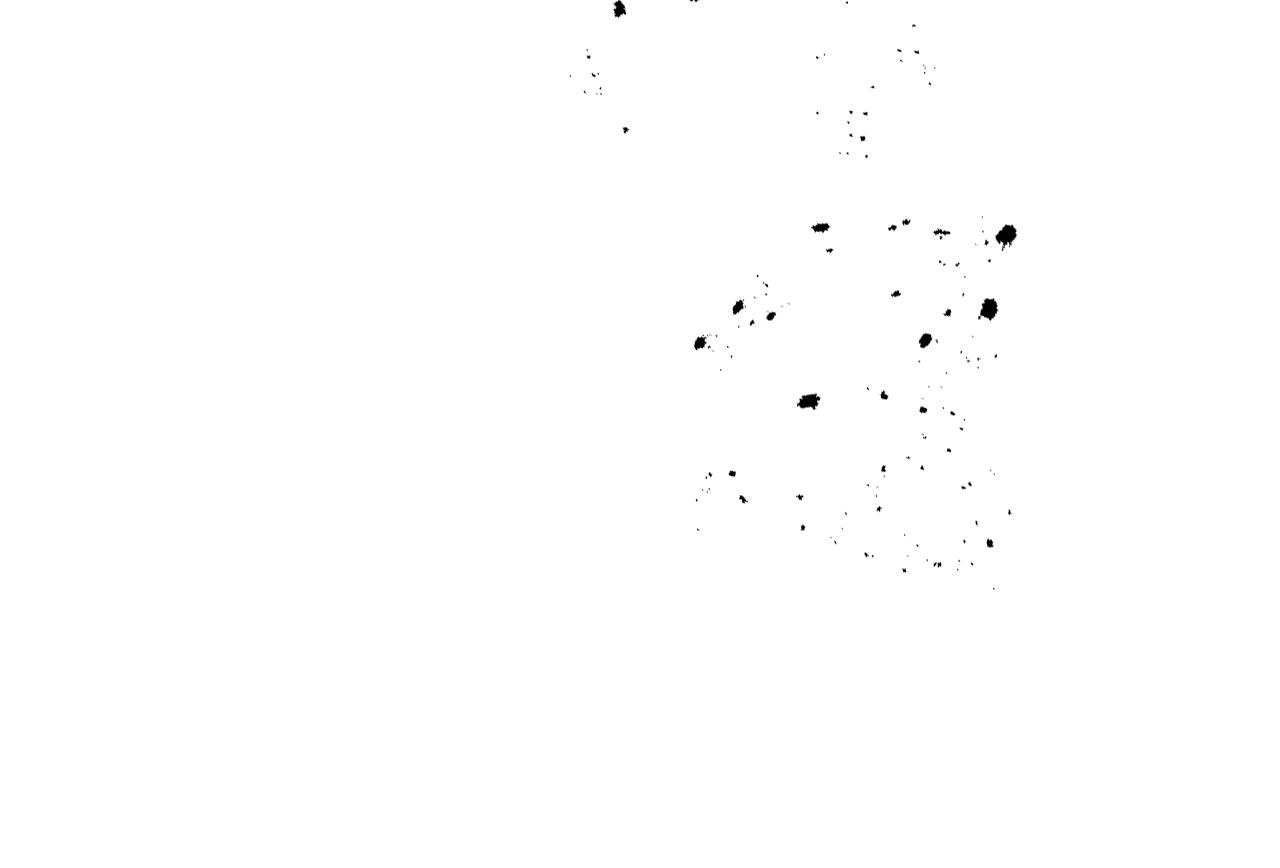 完结篇 我爱你117