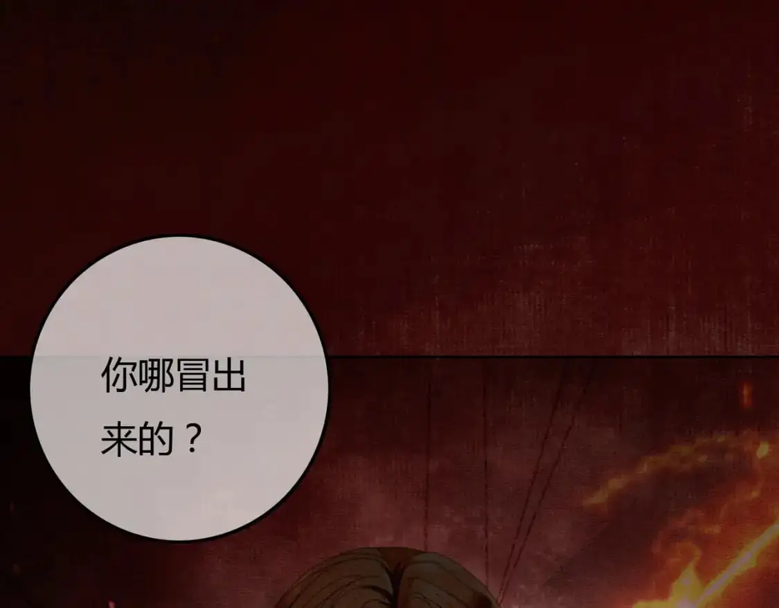 完结篇 真实身份14