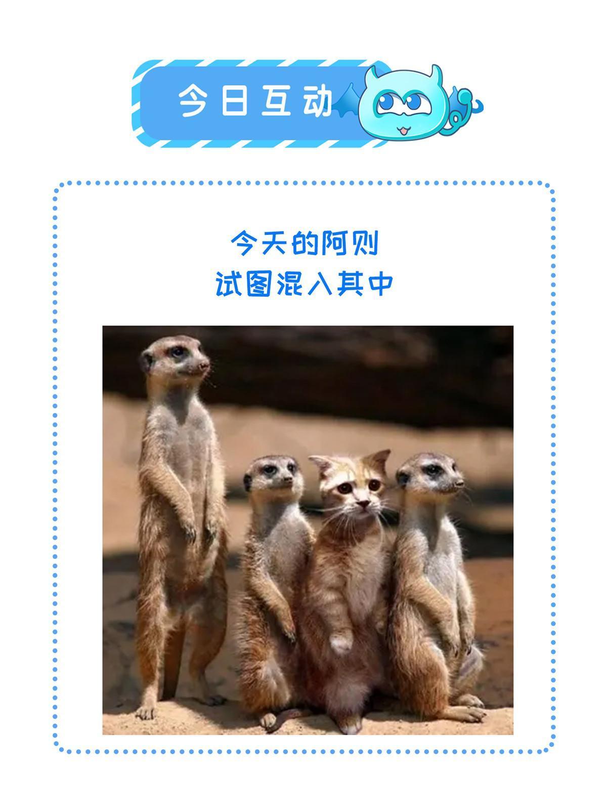 132 怒怼华离58