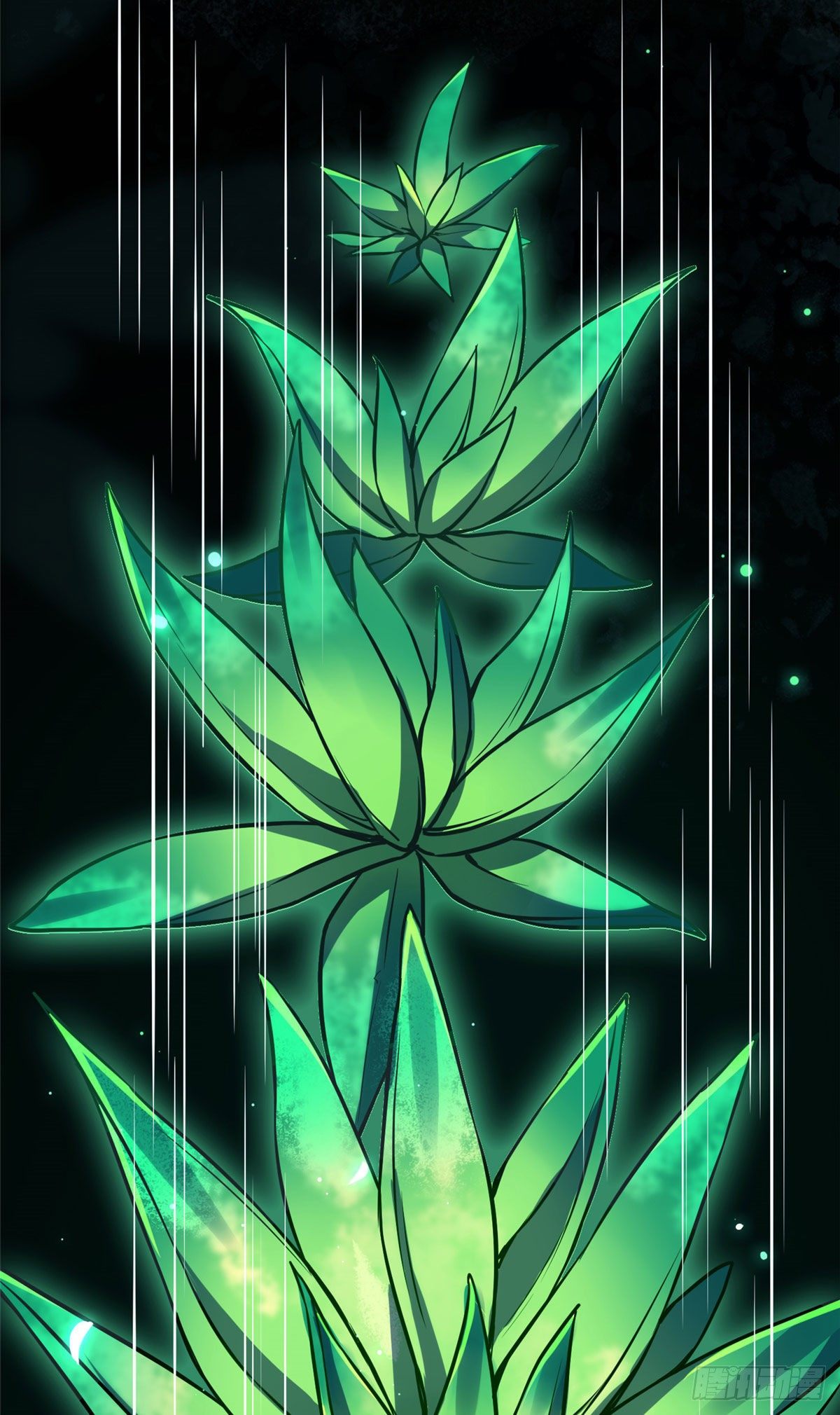 24 鉴别绿茶的方法25