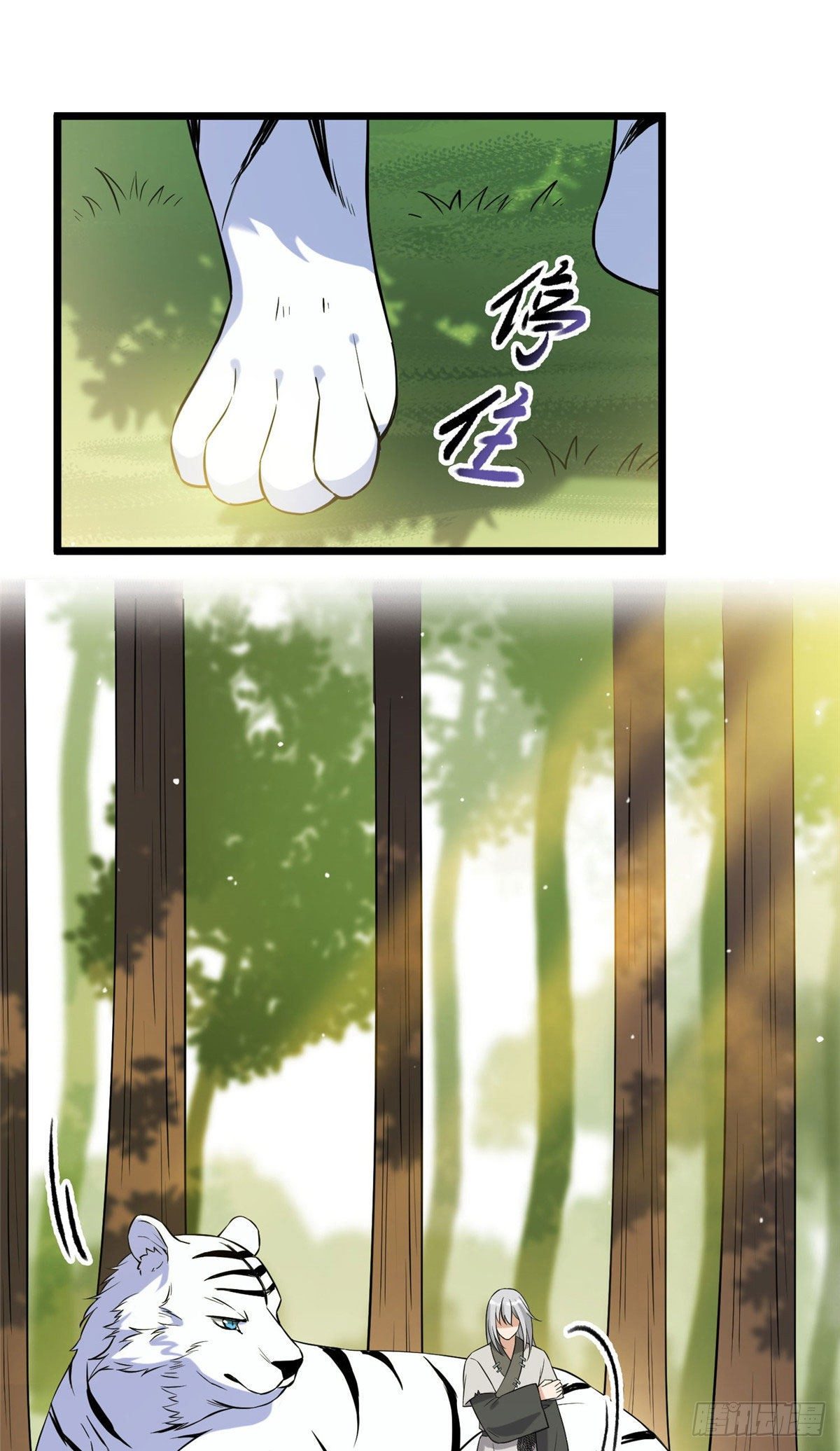 17 白虎认主15