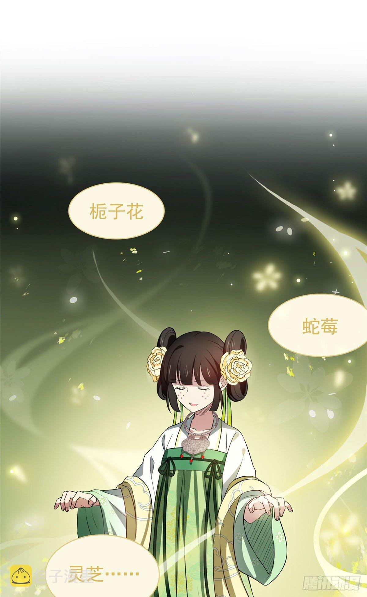 07 木灵仙术6