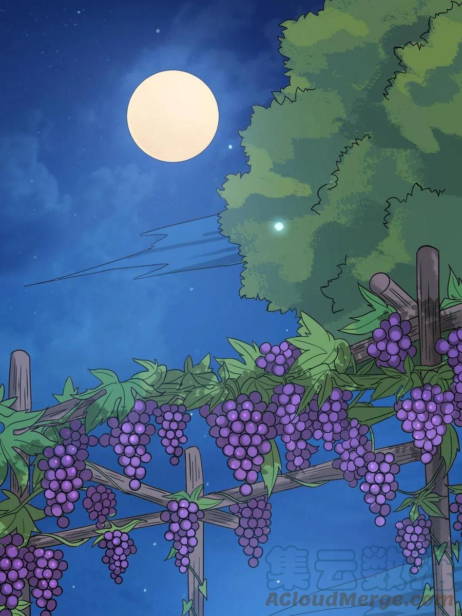 087 京城贺寿21