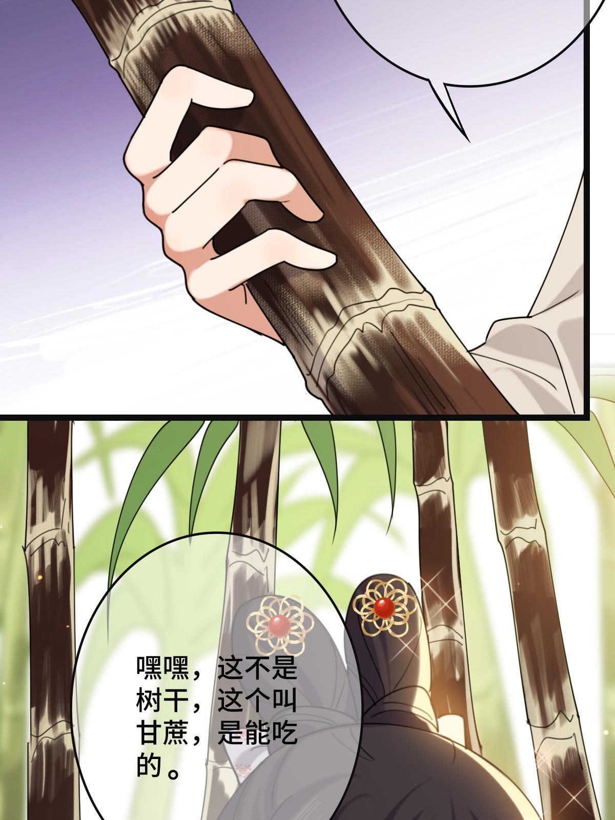098 生辰愿望7