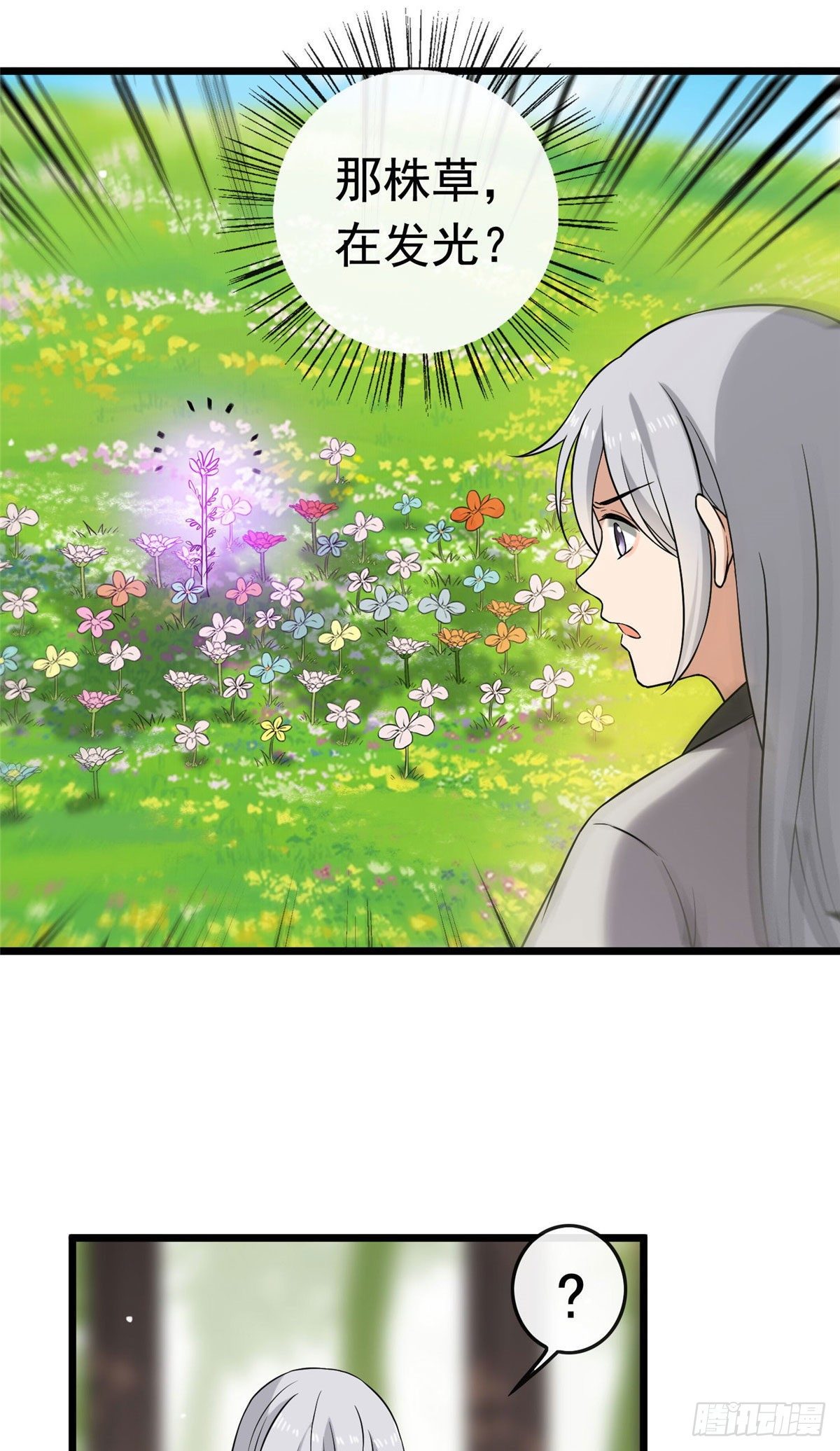 17 白虎认主17