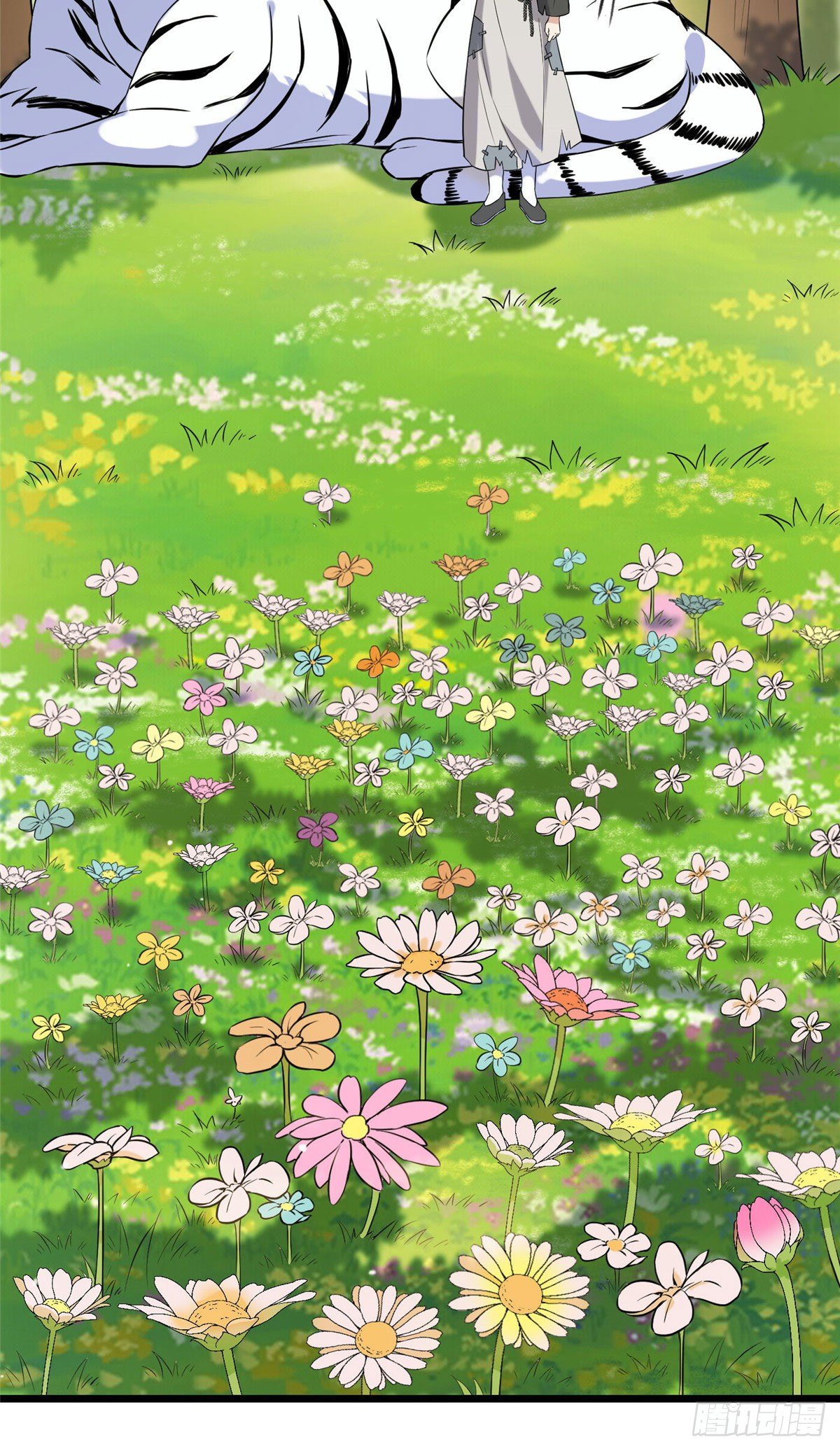 17 白虎认主16