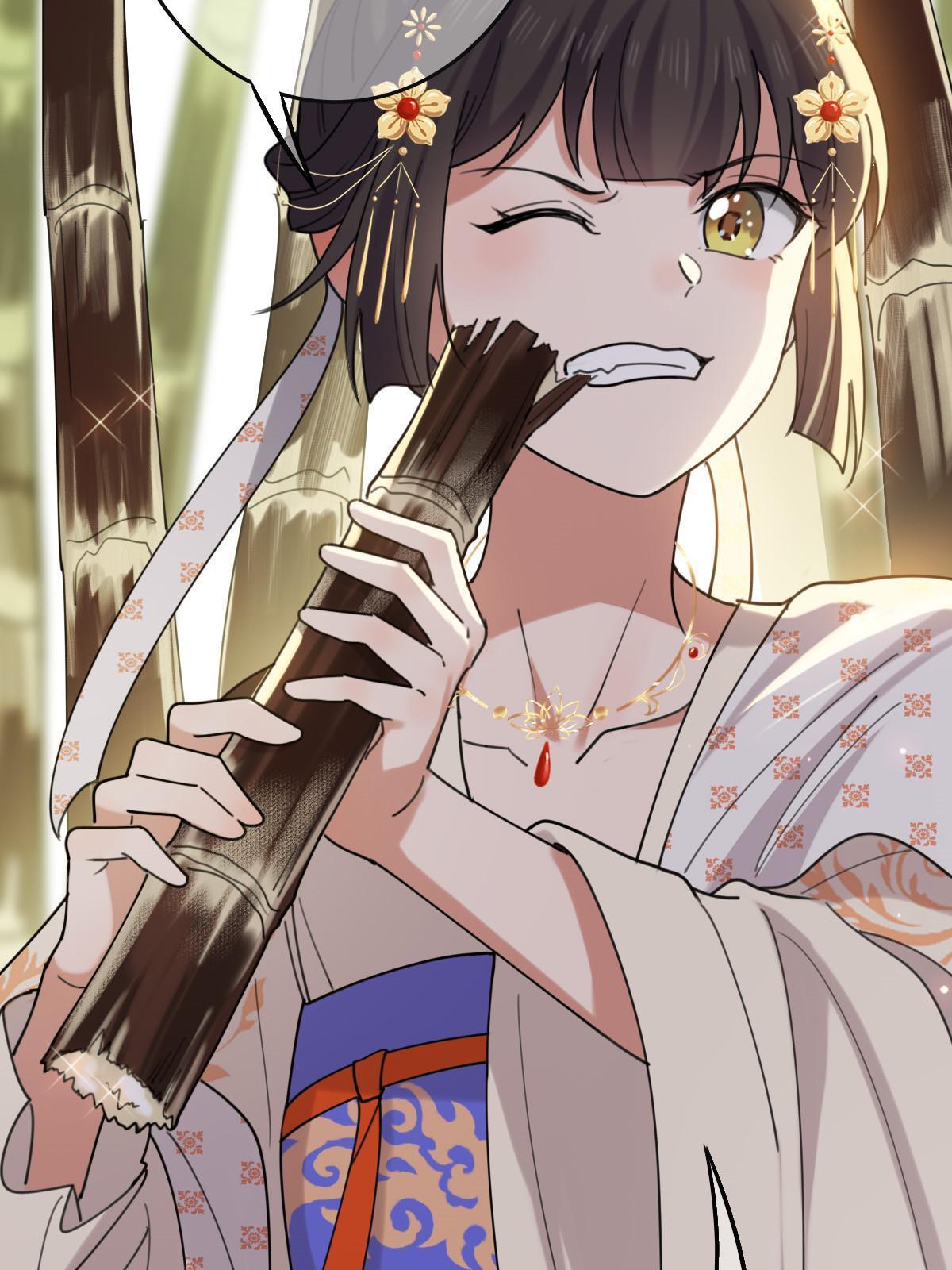 098 生辰愿望8
