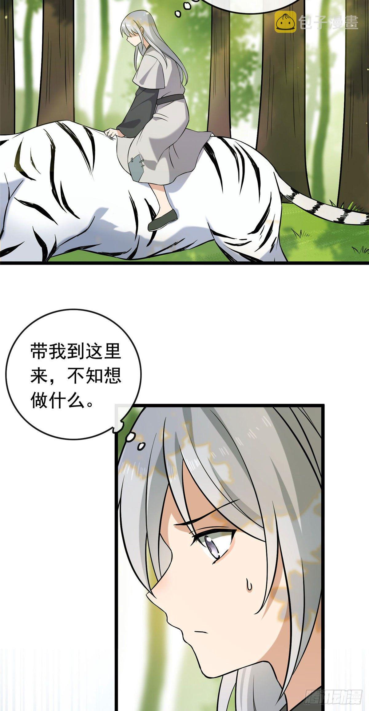 17 白虎认主13