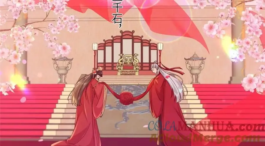 240 大结局69