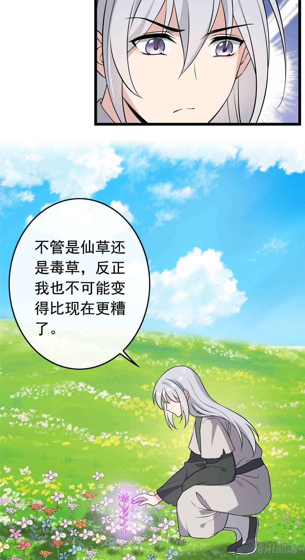 17 白虎认主19