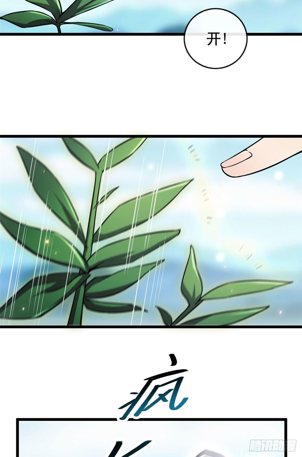 07 木灵仙术26
