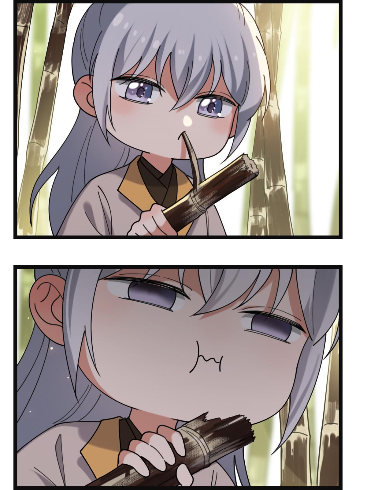 098 生辰愿望11