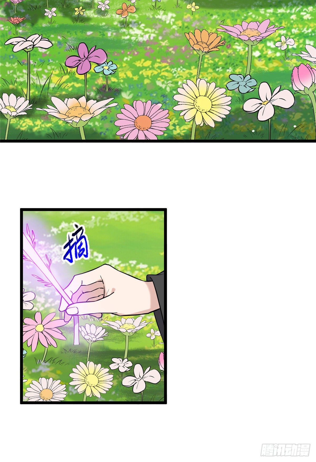 17 白虎认主20