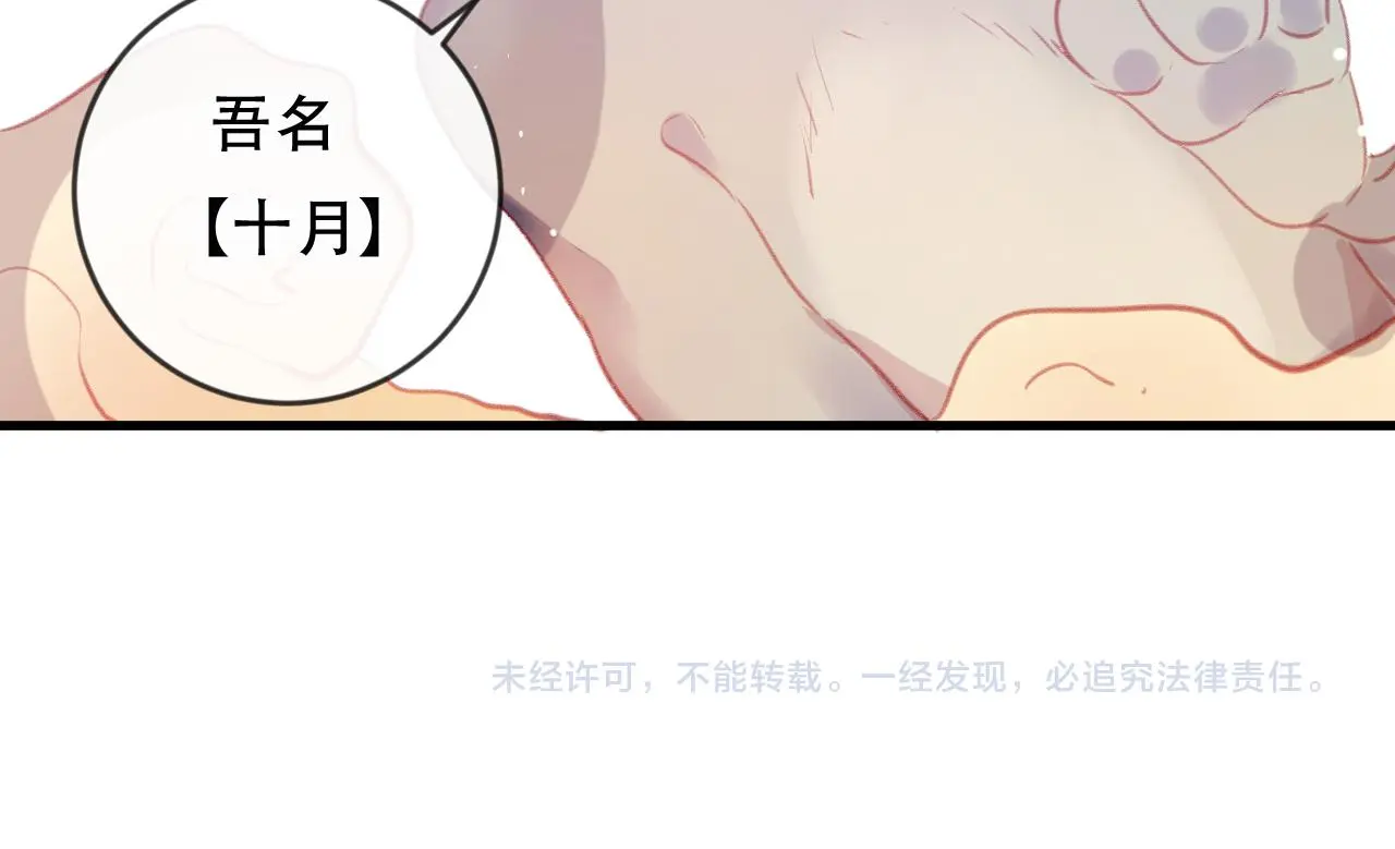 第40话 最后的敌人65