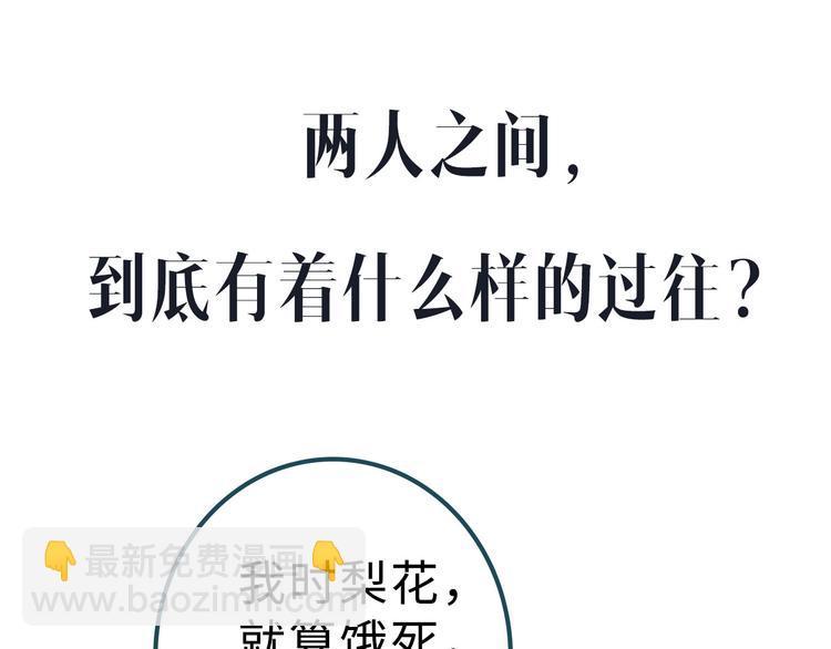 桃李新作来袭！41