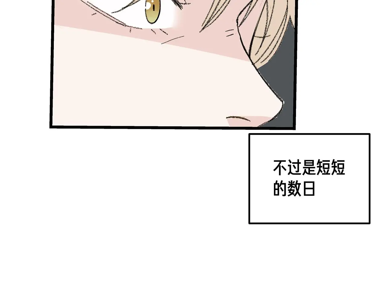 番外 贺医生的独白369