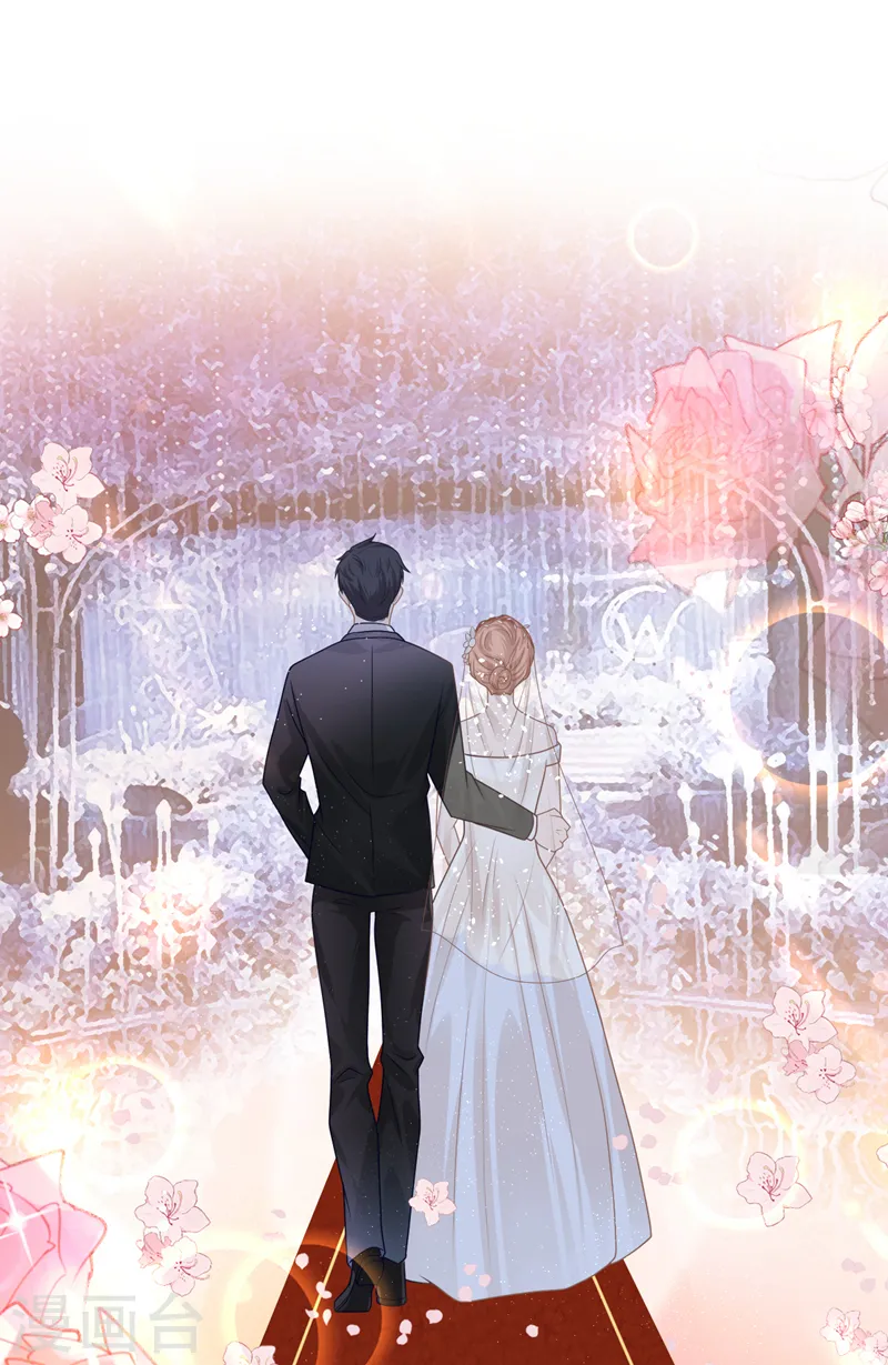 第41话 陆励阳，你要逃婚？1