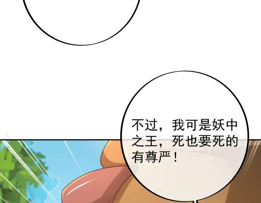 113洞天自爆61