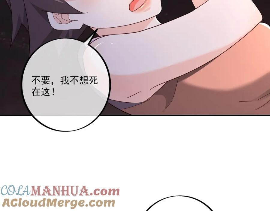 沐亲王之托66