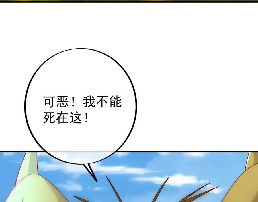 113洞天自爆31