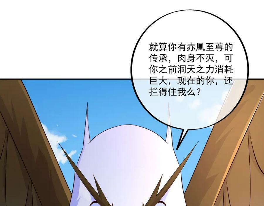 洞天之力，展开！16