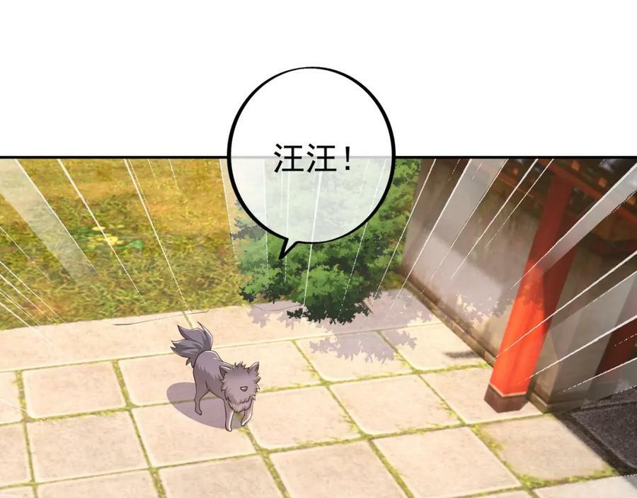 混入凌霄圣地34