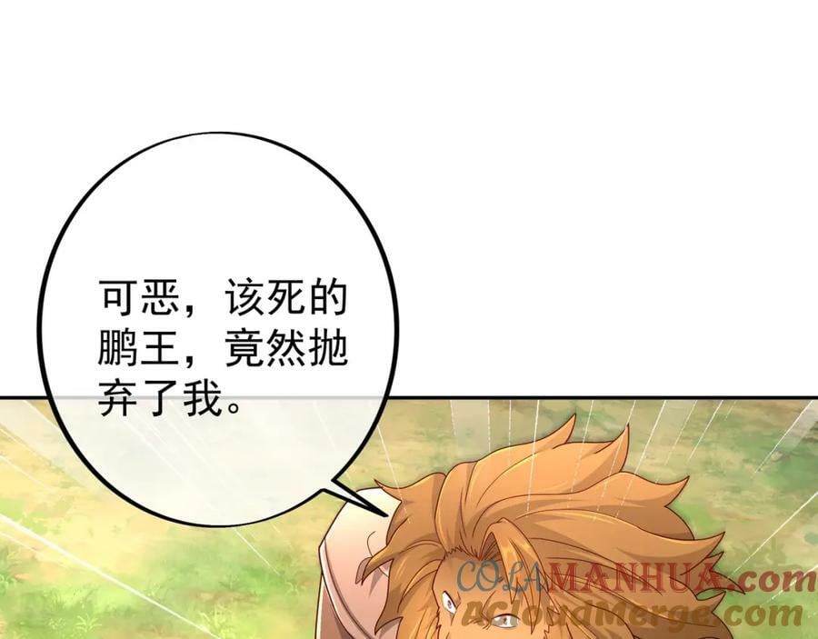 113洞天自爆54