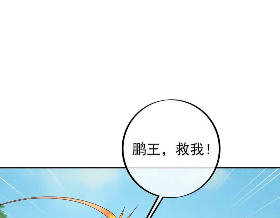 113洞天自爆49