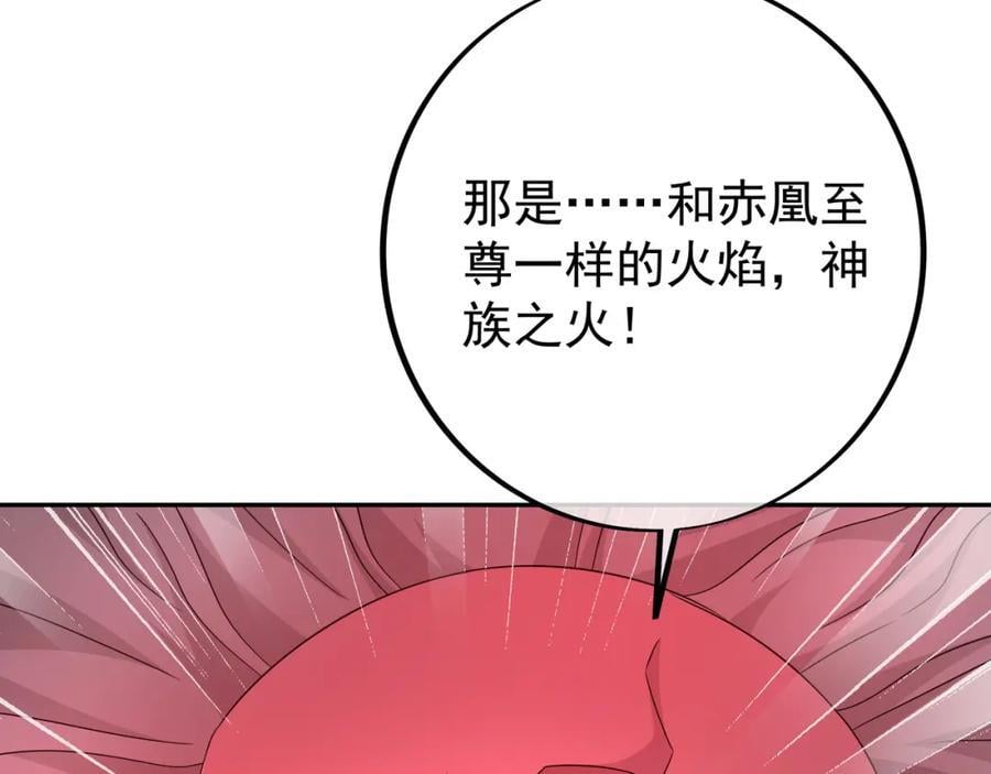 神兽之力23