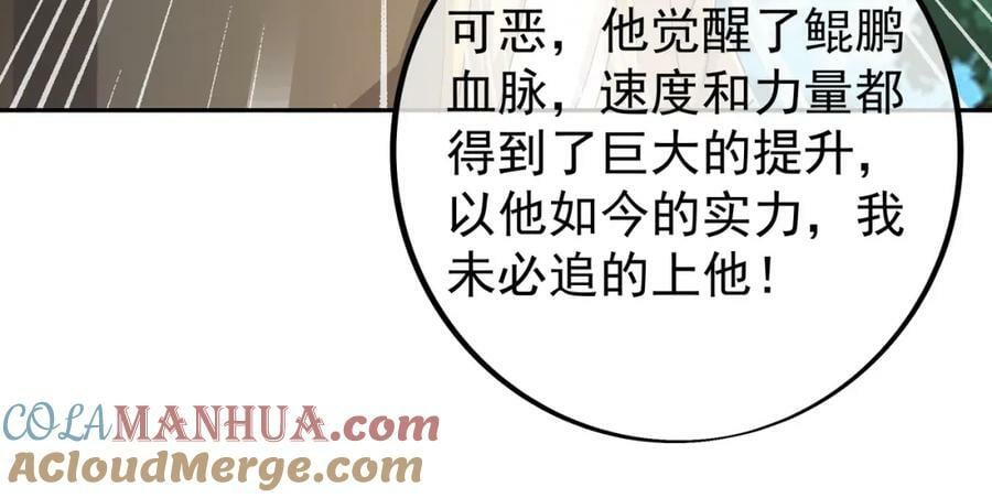 113洞天自爆48