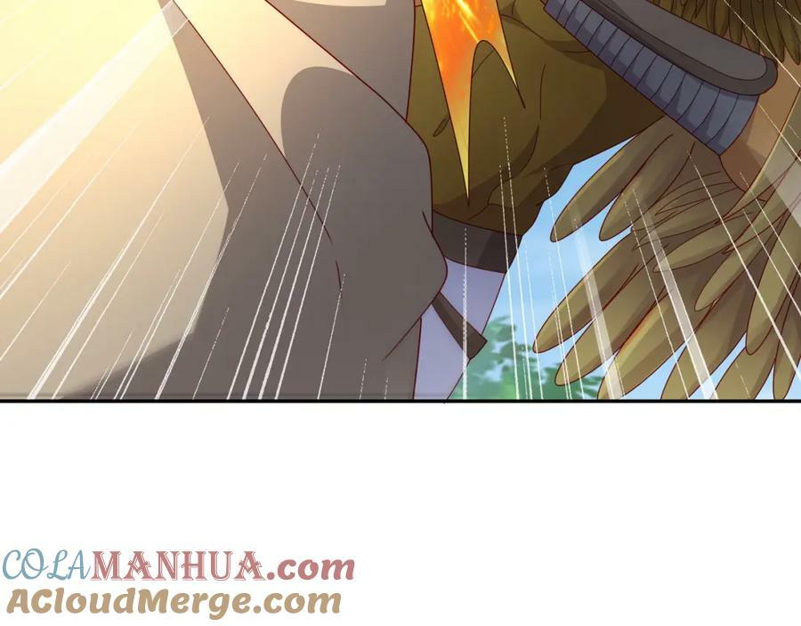 113洞天自爆12