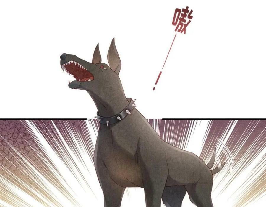 086 遇袭41