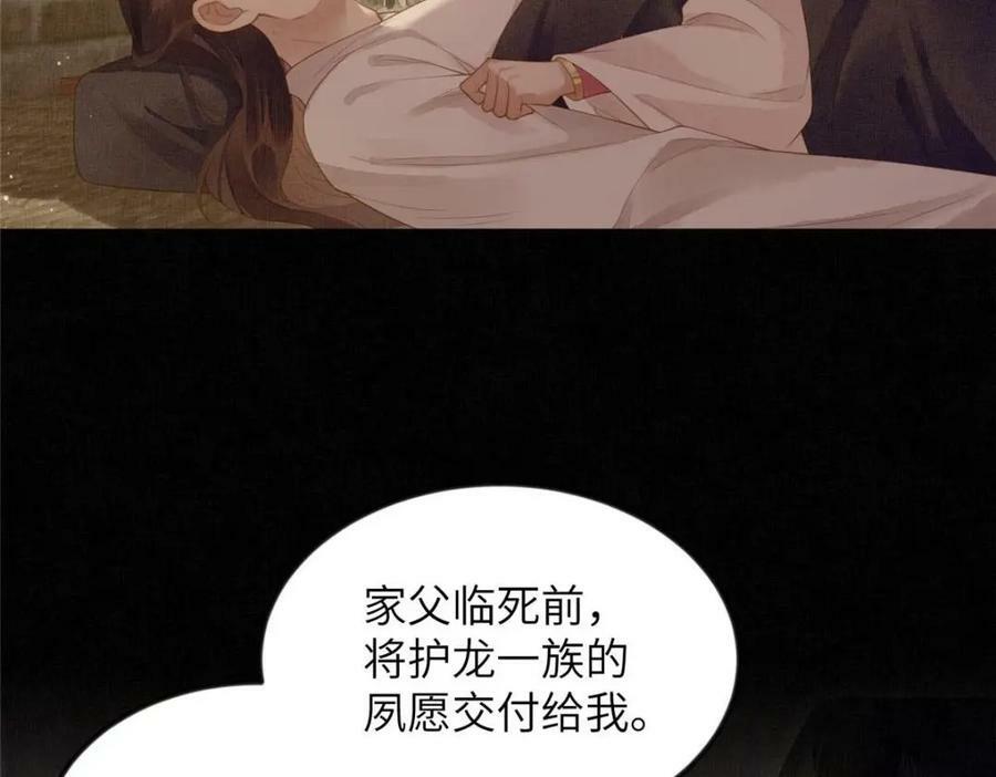 072 护龙一族22