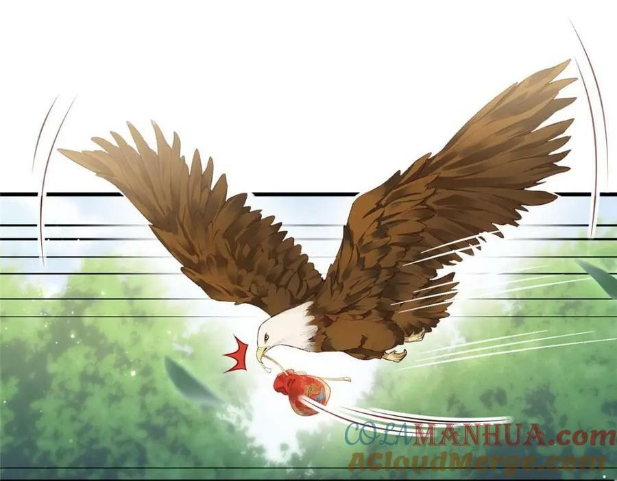 080 将计就计6
