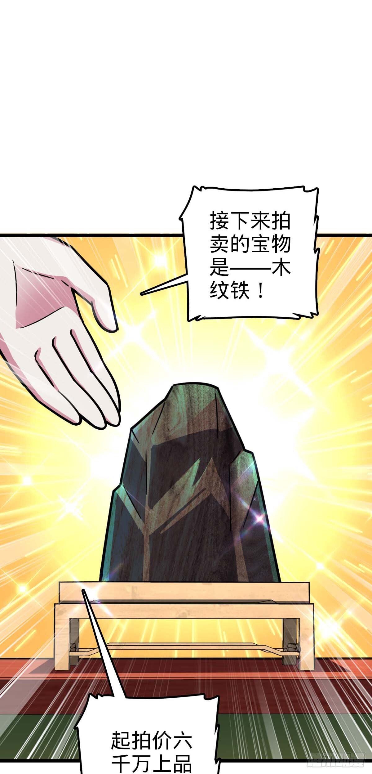 138 紫霞露和木纹铁15