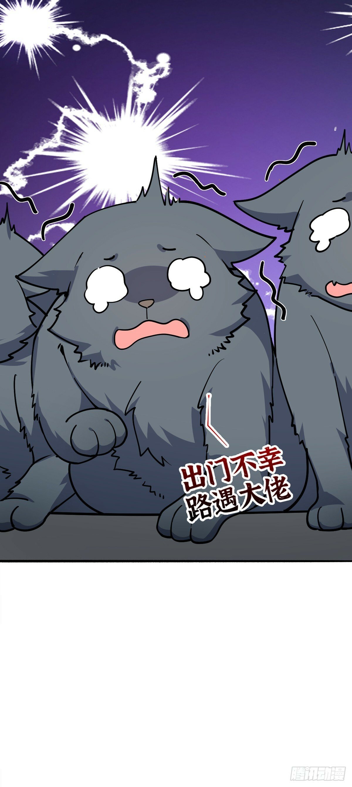 10 叶逍遥43