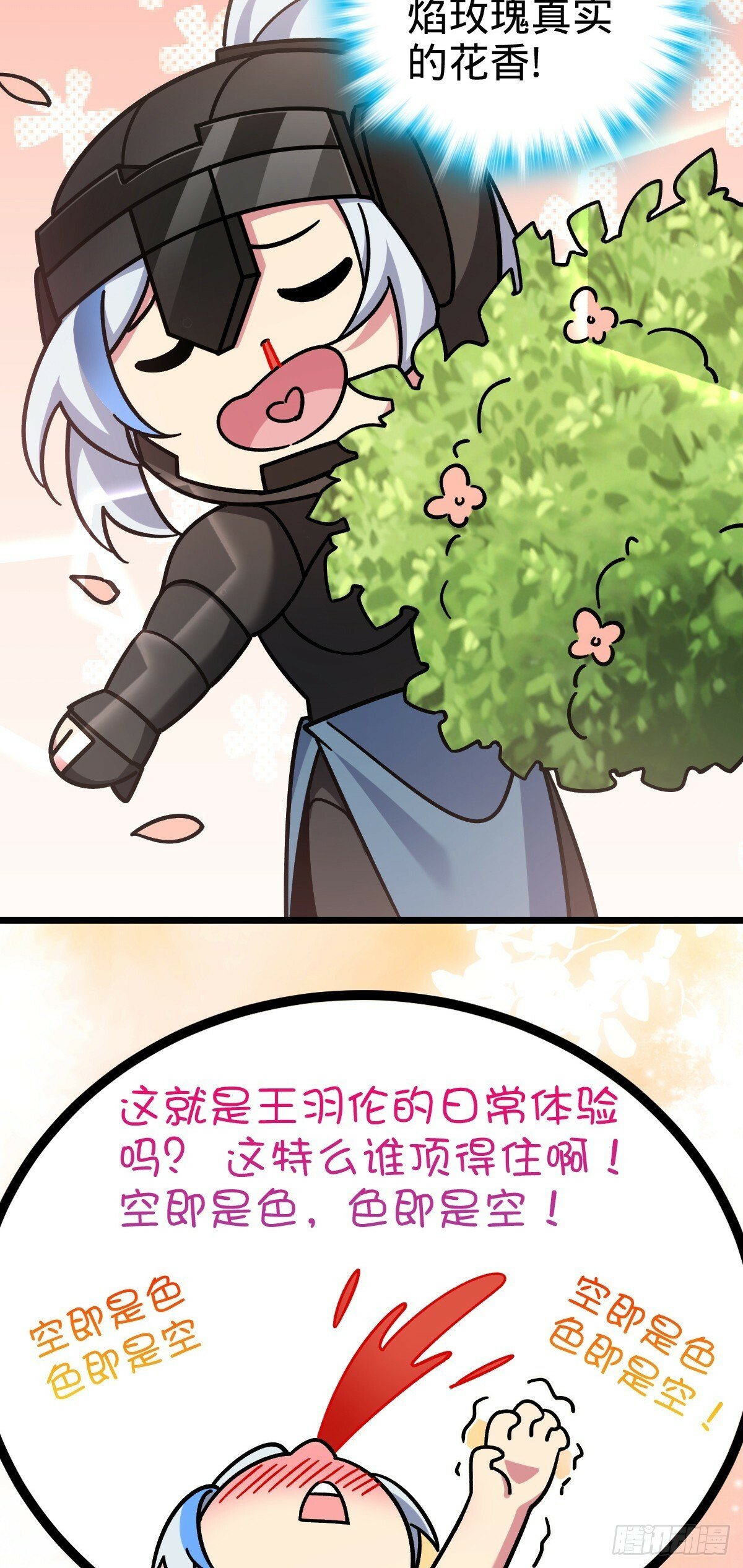79 火焰玫瑰24