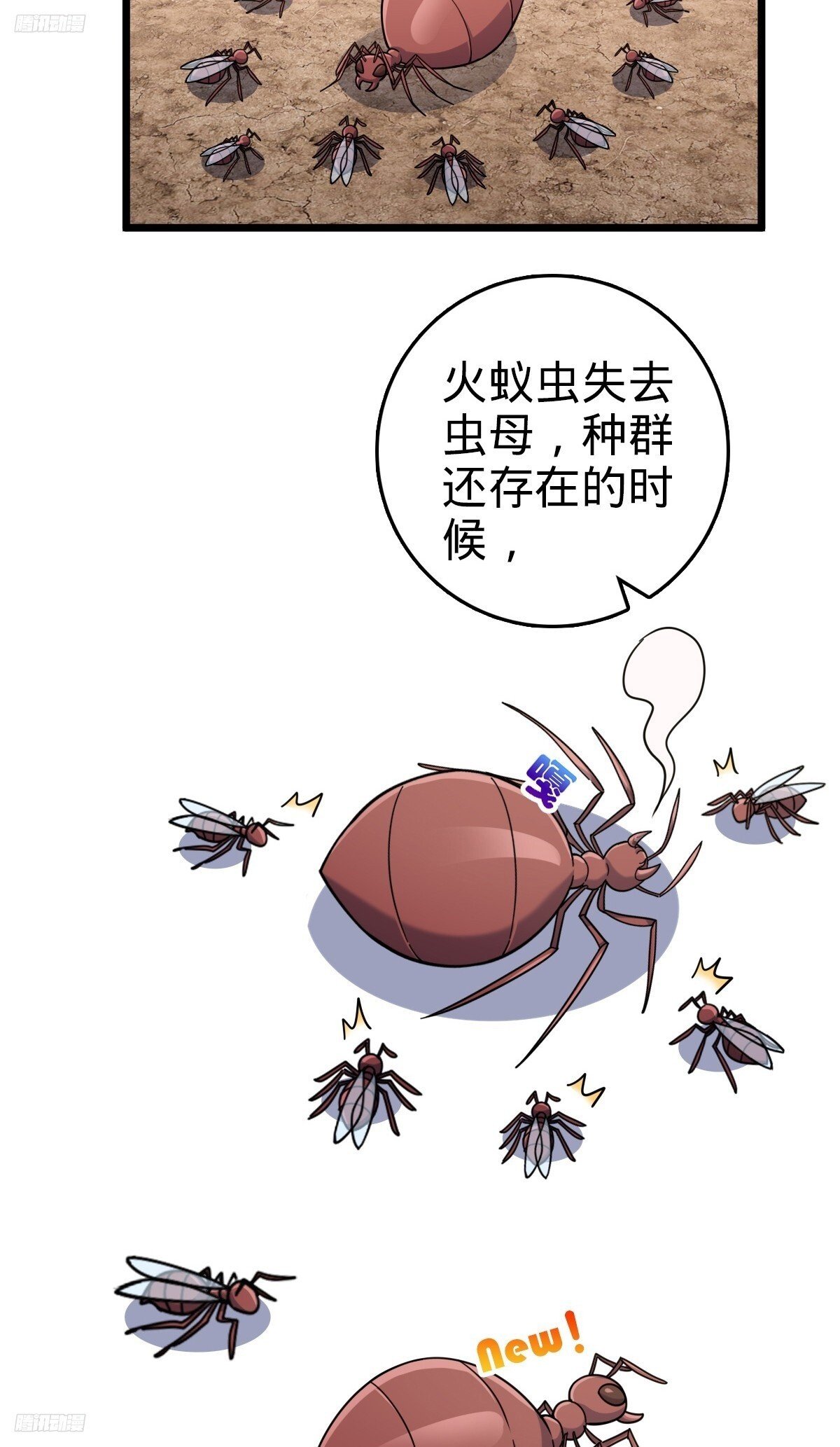 148 先兵后礼2