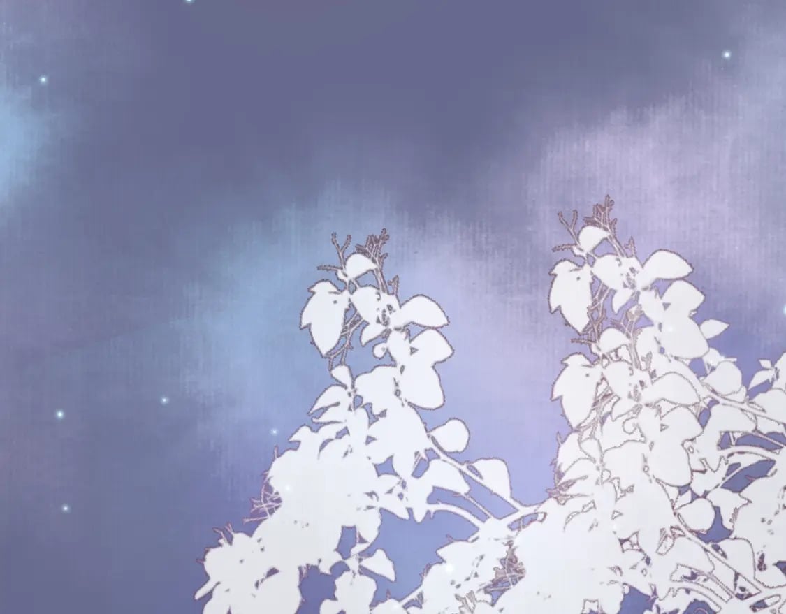 第54话 我希望你能救他44