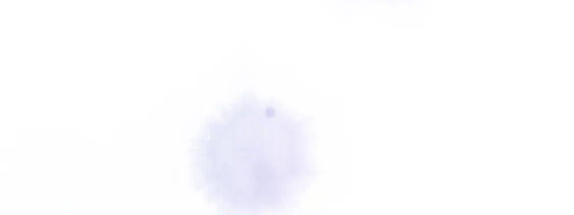 第81话 第一季完结篇71