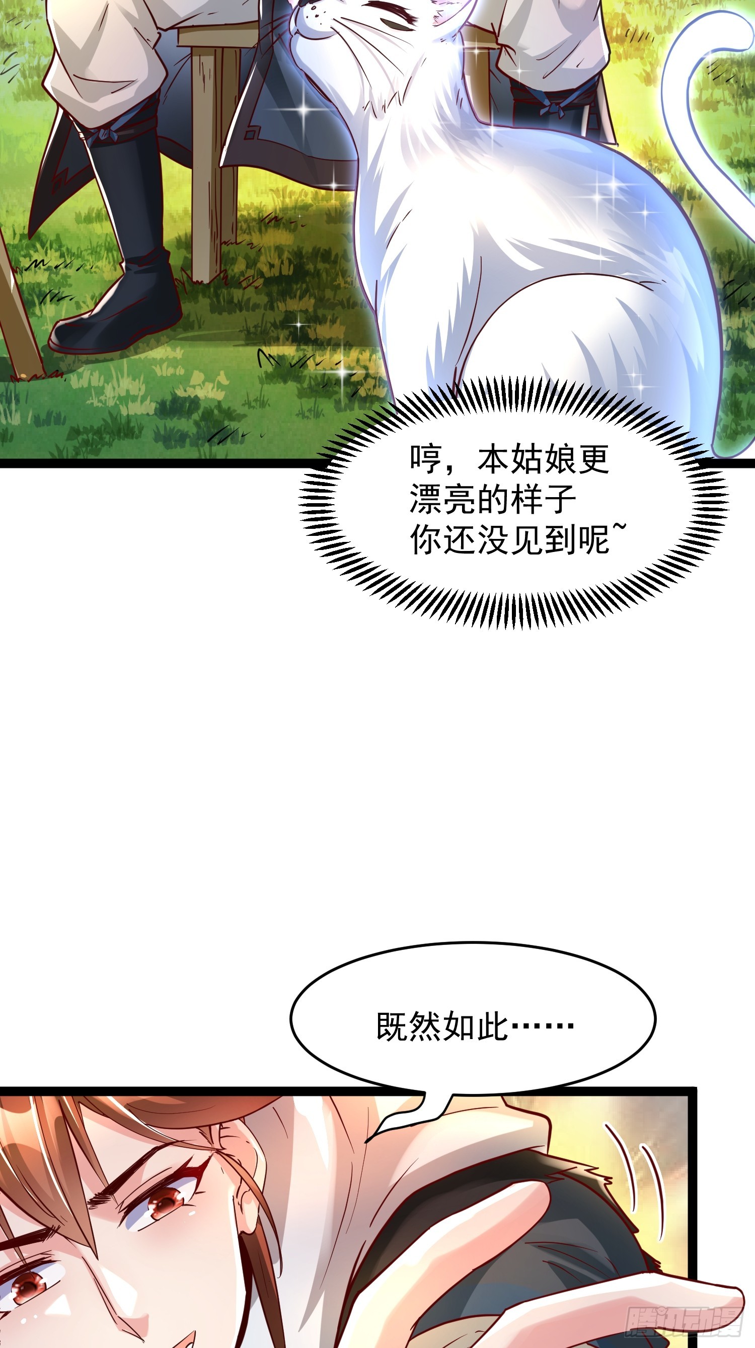 第7话 白虎为宠4