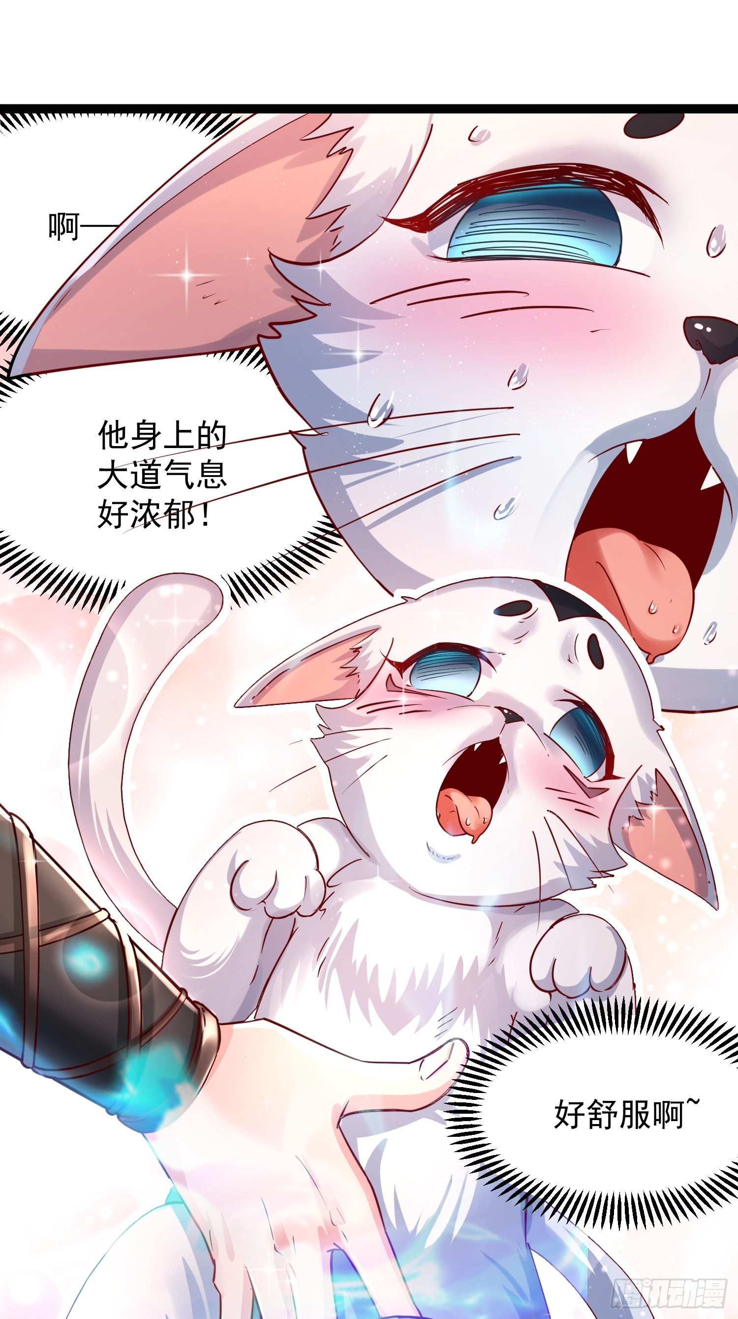 第7话 白虎为宠8