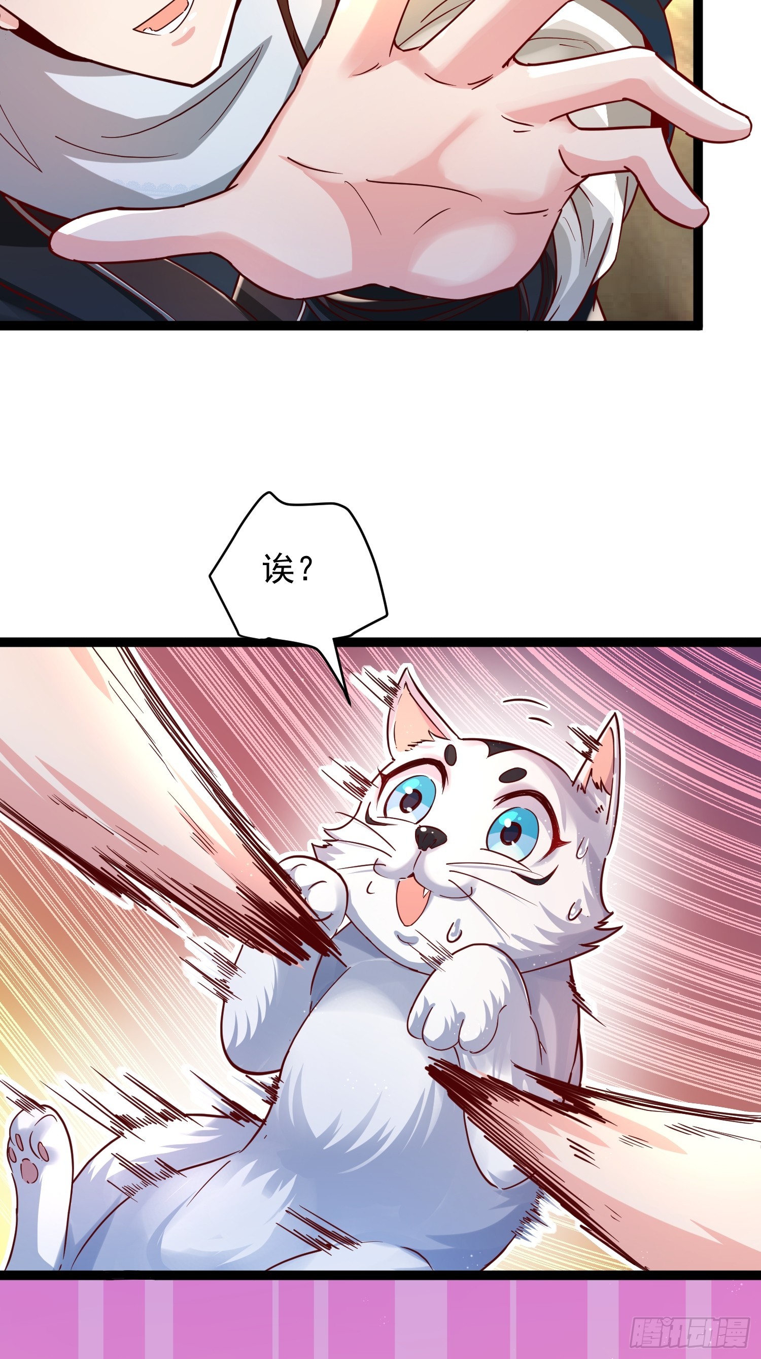 第7话 白虎为宠5