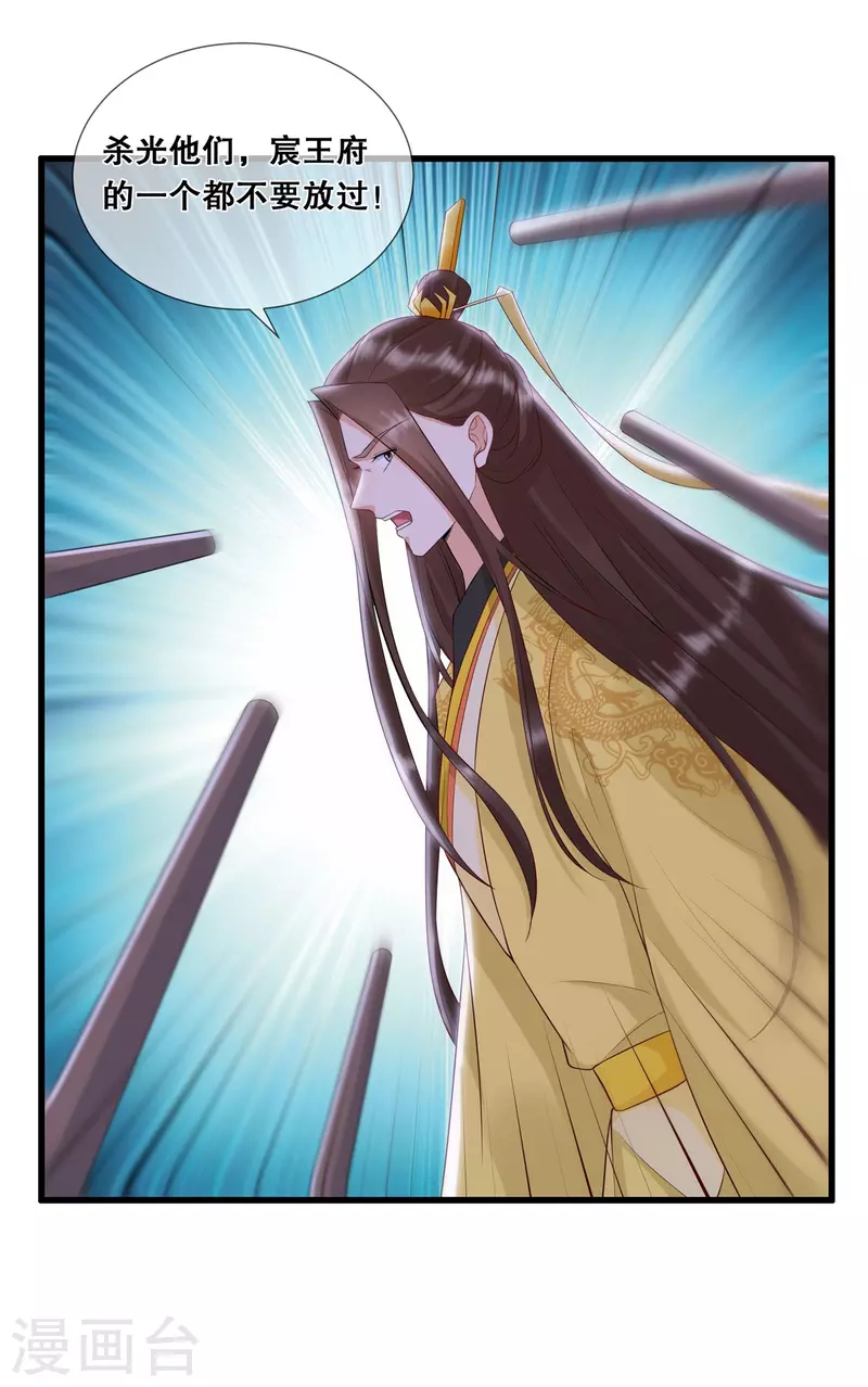 第35话 宸王府变天13