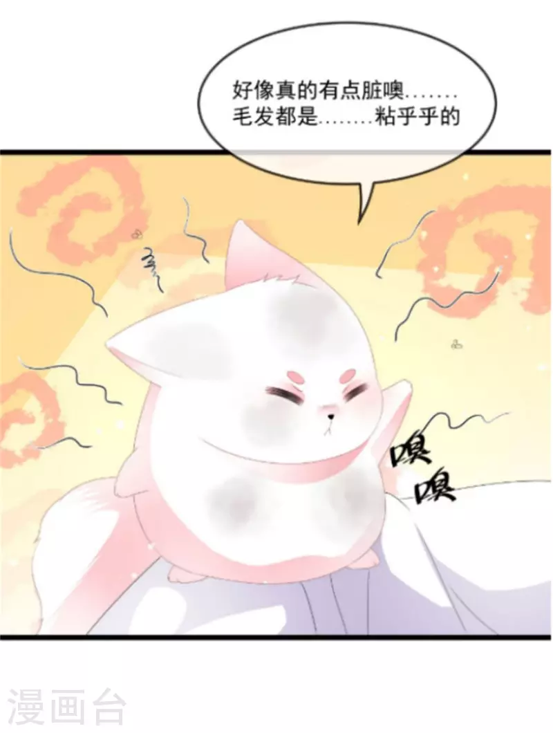 七夕节番外 发福利发福利发福利啦！4
