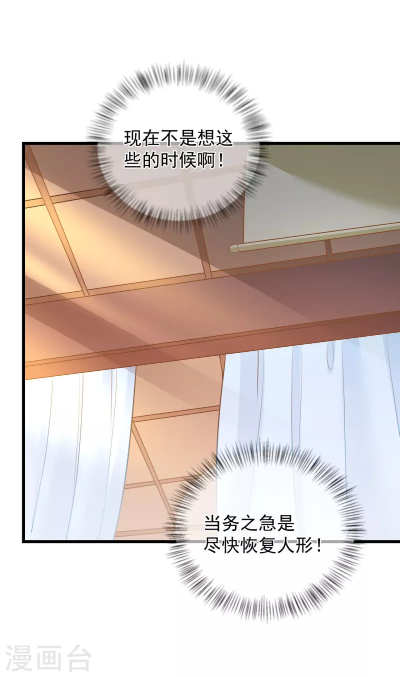 第5话 他的私心19