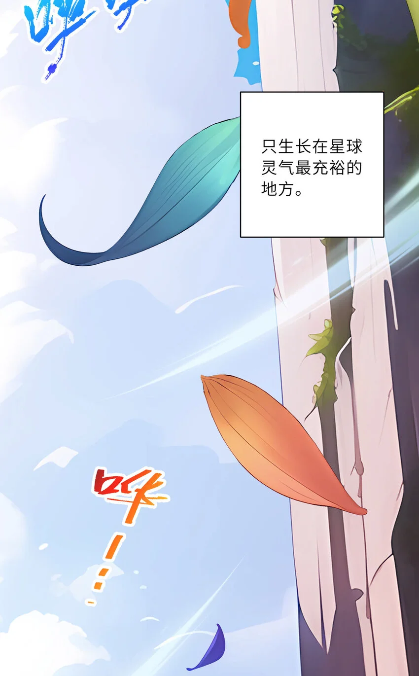144回 从神明手里夺过来！3